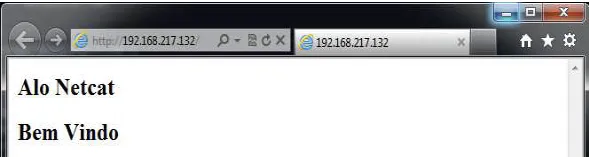 browser-netcat