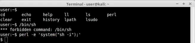 Perl sh error
