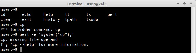 Perl system cp shell