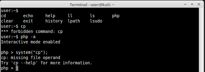 PHP system cp shell