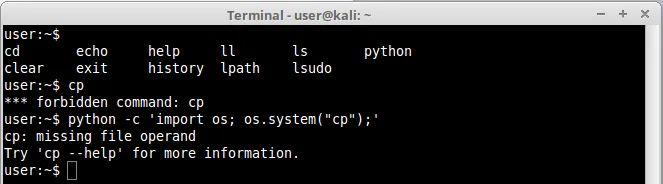 python cp cmd error