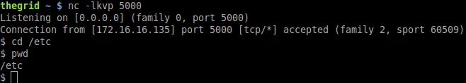 python netcat listen