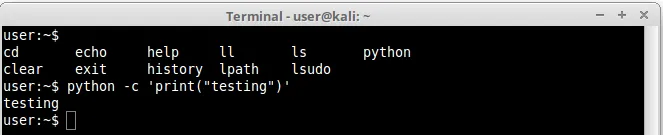 python shell spawn