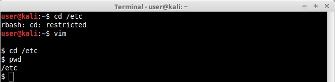 vim shell spawn 2