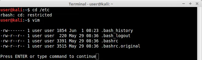 VIM shell spawn